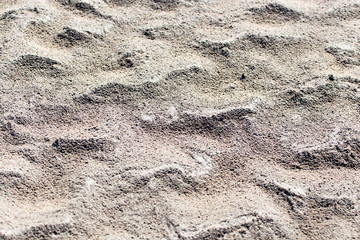 background of sand on the shore