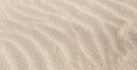 Fototapeta na wymiar background of sand on the shore
