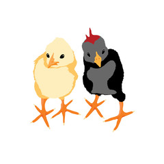 chicken-illustration
baby birds