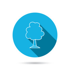 Tree icon. Forest wood sign.