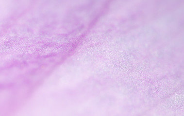 Fototapeta na wymiar purple flower. super macro