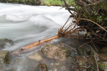 mountain river in nature