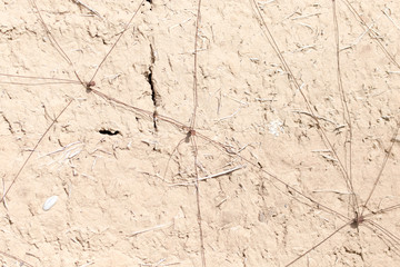 old wall as background