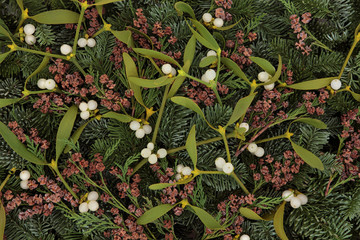 Mistletoe and Winter Greenery