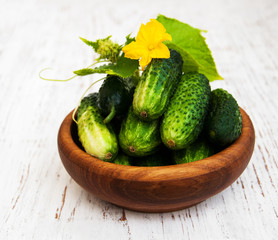 Fresh cucumbers