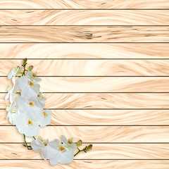 White orchid on wood plank background