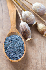 poppy seeds in a wooden spoon on wooden surface