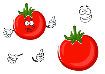 Red ripe tomato vegetable character