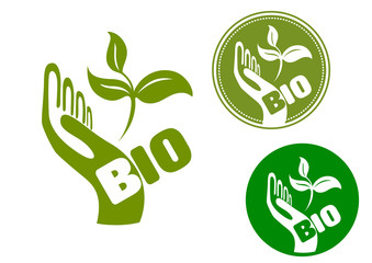 Bio concept with a hand holding leaves