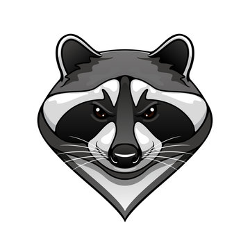 Cartoon wild raccoon animal mascot