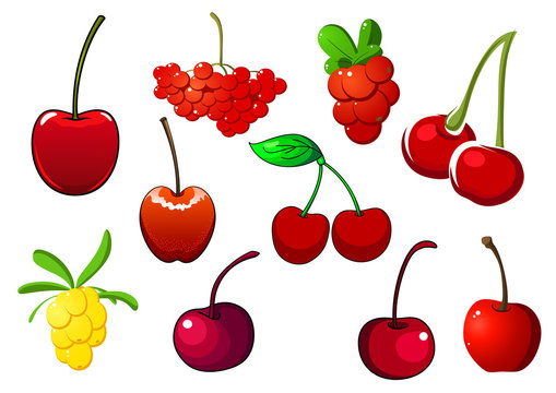 Сolored fresh berry icons set
