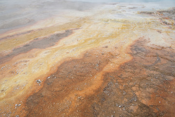 Mineral rich hot springs have left yellow and rust brown stained deposits as they overflow.  West Thumb Geyser Basin, Yellowstone National Park.