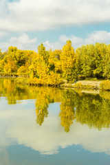 River and forest in sunny autumn day