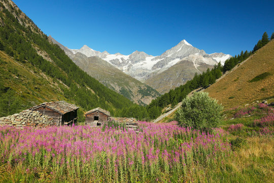View of the alpine farm and Weisshorn, Switzerland
