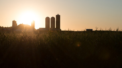 The rising sun bursts forth over the barn and silos of a farm while hitting the tassels of corn...