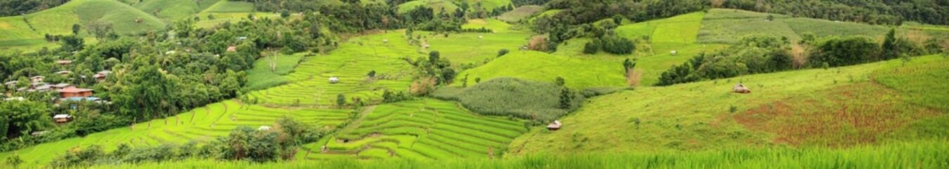 Obraz premium Rice terraces panorama