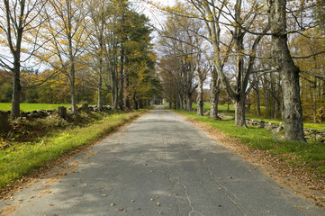 Fototapeta na wymiar Backroads in autumn on Mohawk Trail in western Massachusetts, New England