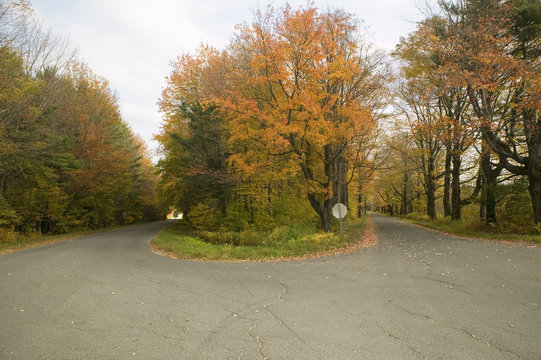 Backroads In Autumn On Mohawk Trail In Western Massachusetts, New England