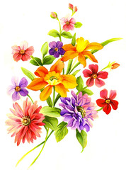 수성화와ㅣ 달리아 꽃무리 