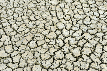 Dry ground