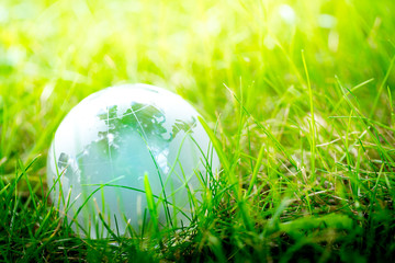 Fototapeta na wymiar Green & Eco environment, glass globe in the garden