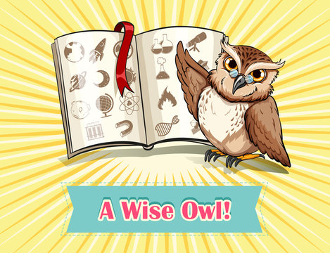 English saying a wise owl