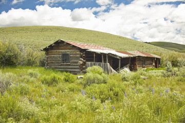 Deserted old homestead in summer in Centennial Valley near Lakeview, MT