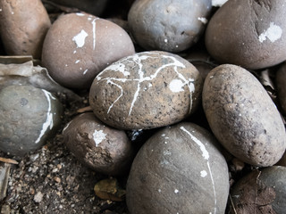 Black stones painted texture background selective focusing at the middle