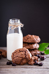 Chocolate cookies and milk