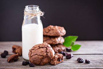 Chocolate cookies and milk