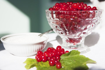 Red berries on the table
