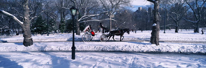 Panoramic view of snowy city street lamps, horse and carriage in Central Park, Manhattan, New York...