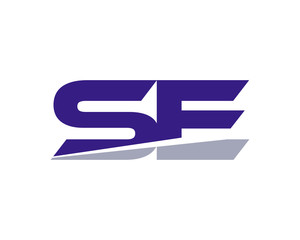 SE Letter Logo Modern