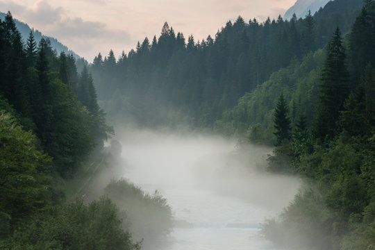 Fototapeta morning mist above river and forest