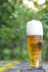 Glass of beer in nature.