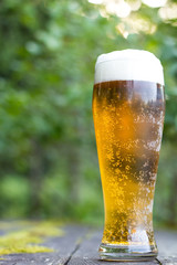 Glass of beer in nature.