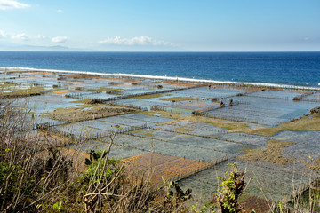 Plantations of seaweed on beach in Bali, Nusa Penida