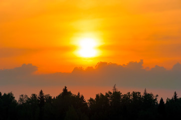 Fototapeta premium beautiful sunset over the forest and cumulus clouds
