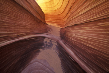 Close up of sandstone stripes, 'The Wave' on Kenab Coyote Butte, BLM, Slot Canyon, UT