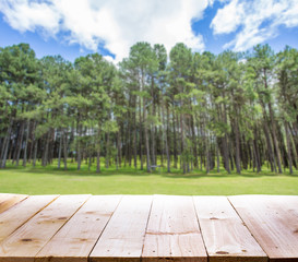 Wood table with blur Pine forest background