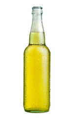 beer bottle isolated on white background