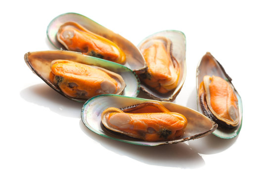 Green mussels isolated on white background