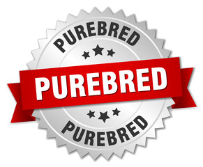 purebred 3d silver badge with red ribbon