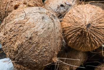 Dry coconuts texture background close up selective focusing on the left
