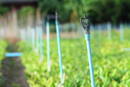 springler system in farm