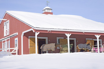 Horses with blankets in Red Barn in snow, Ma., New England, USA © spiritofamerica