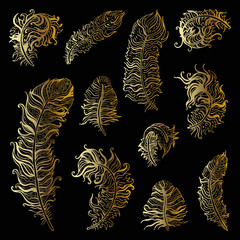 Beautiful Vintage Feathers