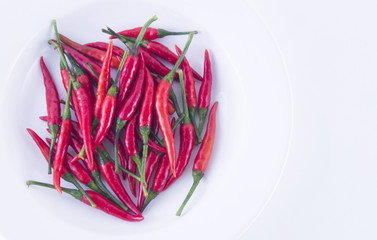 Red chilli on white dish