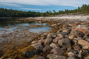 rocky shore of the White Sea