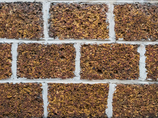 Bricks wall texture background closeup